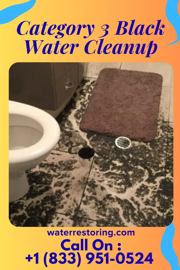 Category 3 Black Water Cleanup in Grenelefe, FL