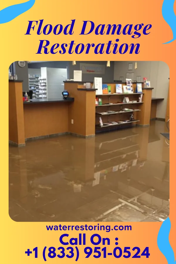 Flood Damage Restoration in Grenelefe, FL